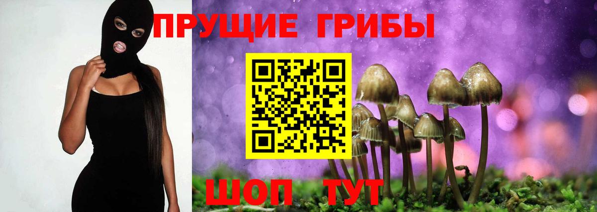 Псилоцибиновые грибы мухоморы  даркнет сайт  Кыштым  Вход с VPN 